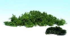 Woodland Scenics 785-168 Lichen - 3qts 2.84L, Dark Green Mix -Attack Train l168 pile web