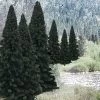 Woodland Scenics 785-1585 Evergreen Tree Value Pack - Ready Made Trees(TM), 2 To 4" 5.1 To 10.2cm Pkg(18)